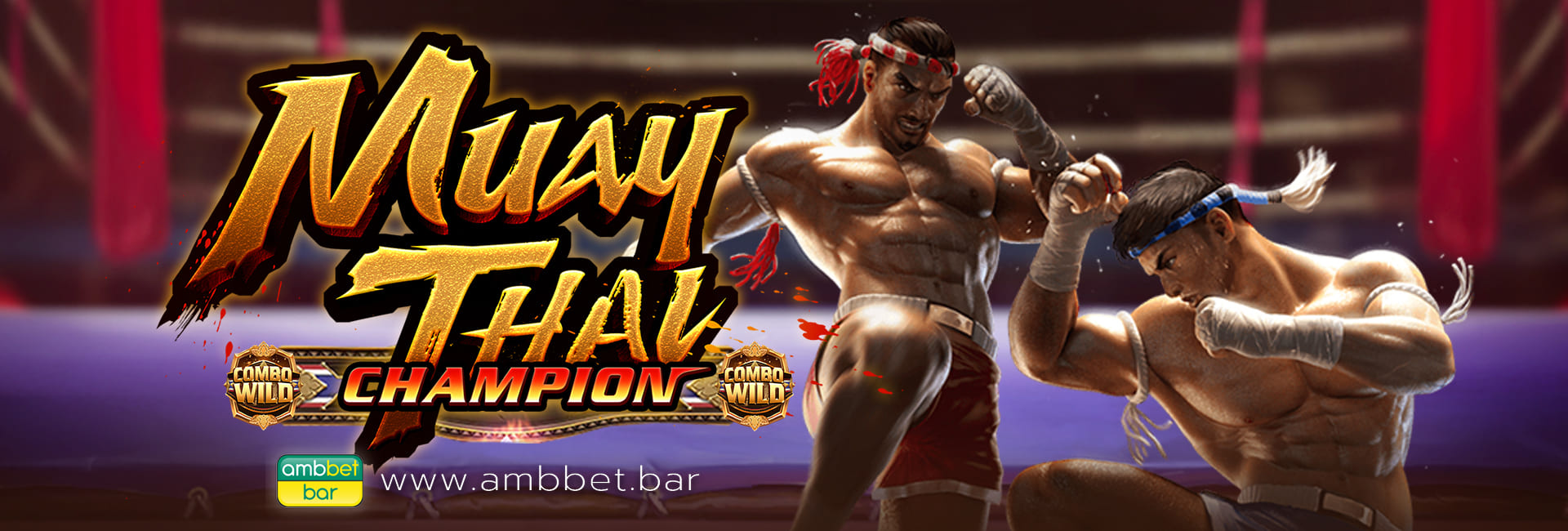 Muay Thai Champion banner