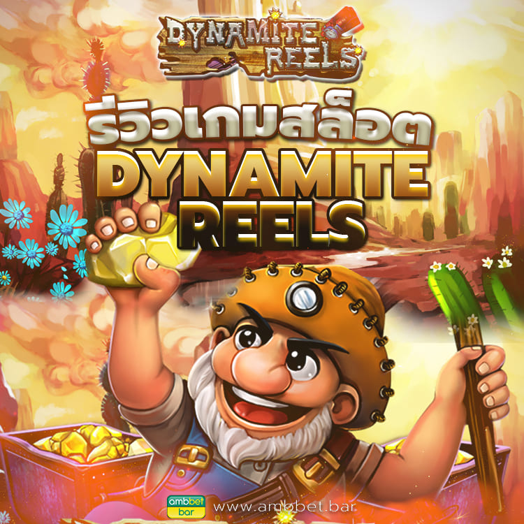 Dynamite Reels mobile
