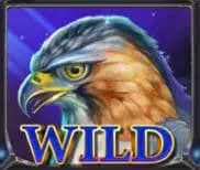 wild lady hawk