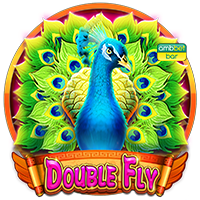 double fly DEMO